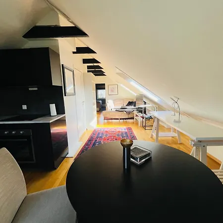 Koselig Loft Til Leie Apartment