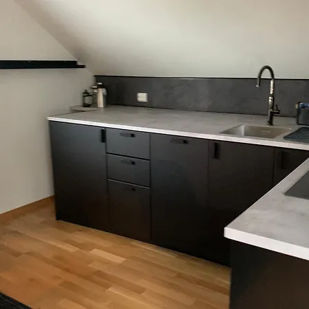 Koselig Loft Til Leie Διαμέρισμα *