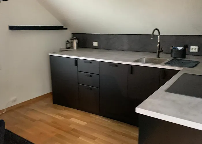 Koselig Loft Til Leie Διαμέρισμα *